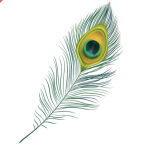 Energized Mor Pankh